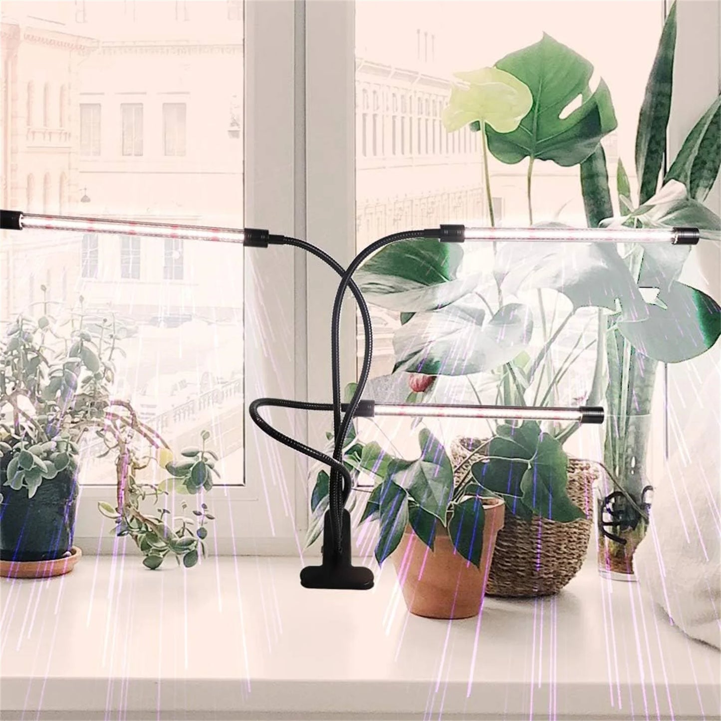 LED Plant Growth Light with Timer - Perfect for All Plants