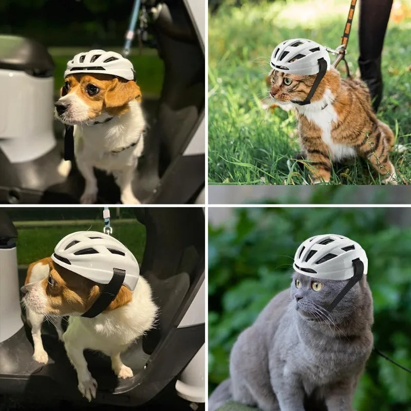 Pet Motorcycle Safety Helmet | Comfortable & Breathable Design