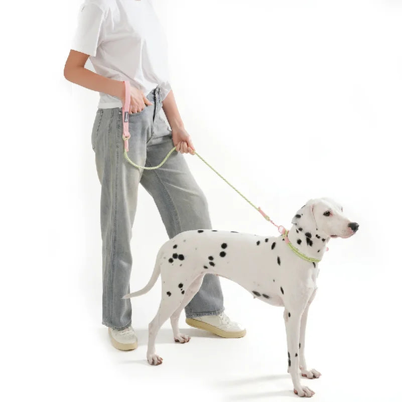Cute Sugar Color Dog Collar and Leash Set for Small to Medium Dogs