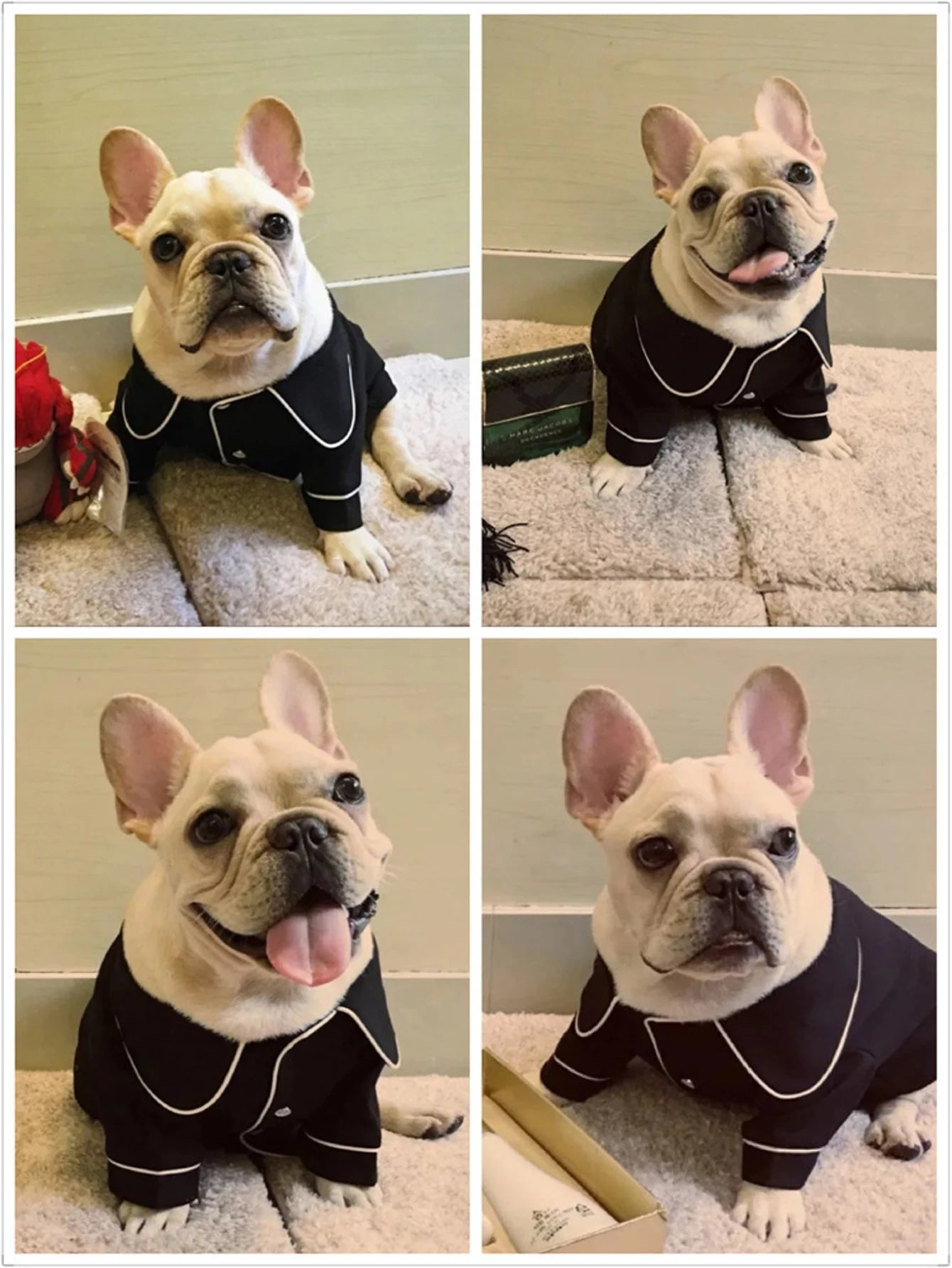 Luxurious Summer Pajama for Small Dogs | Comfortable Dog Clothes