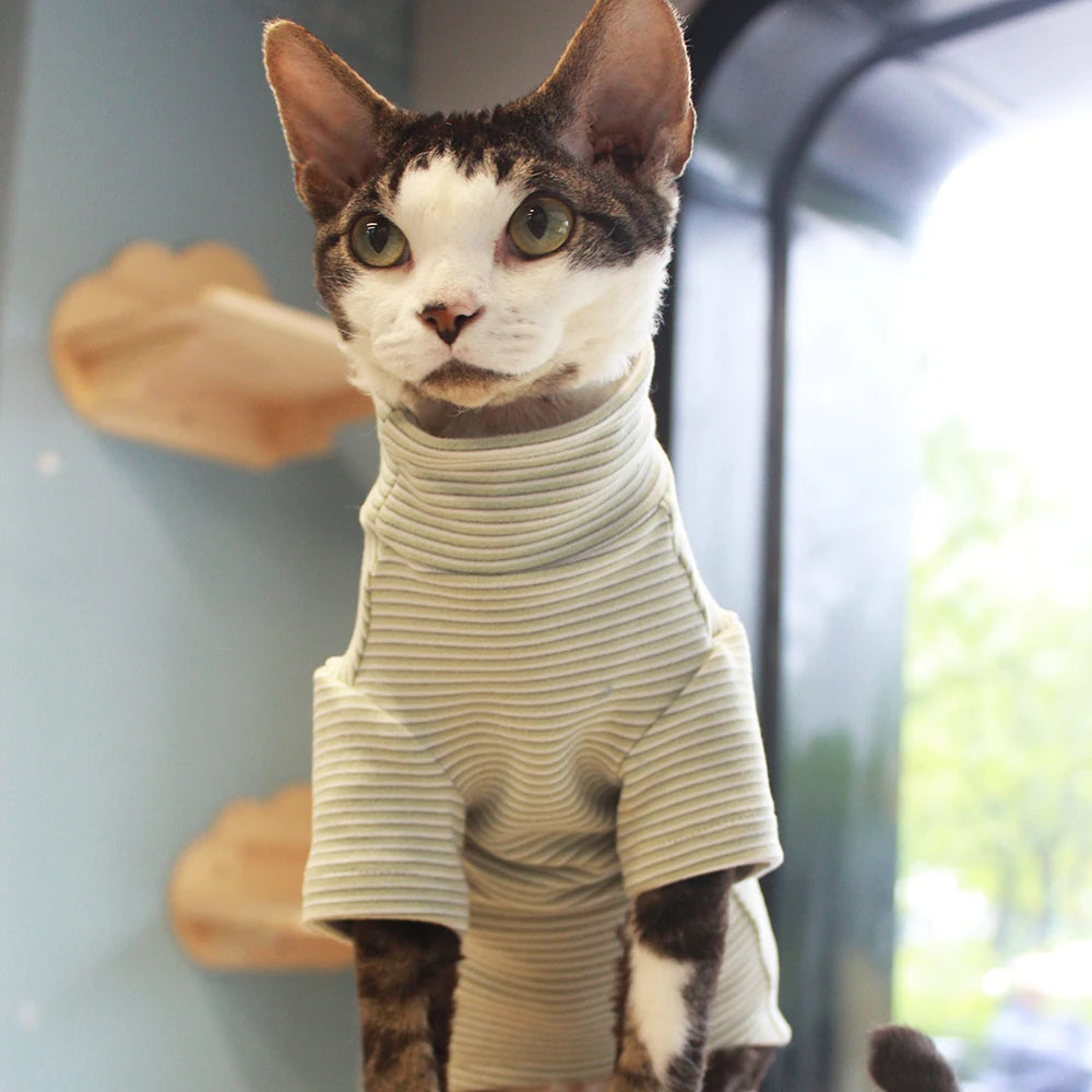 Warm Long Sleeve Cat Coat | Cozy Stripe Sweatshirt for Kittens