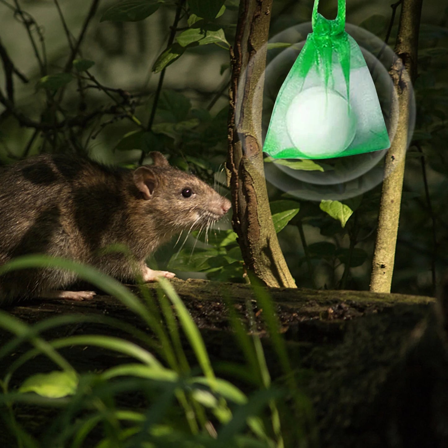 20pcs Non-Toxic Mouse Repellent Pellets | Humane Rodent Control