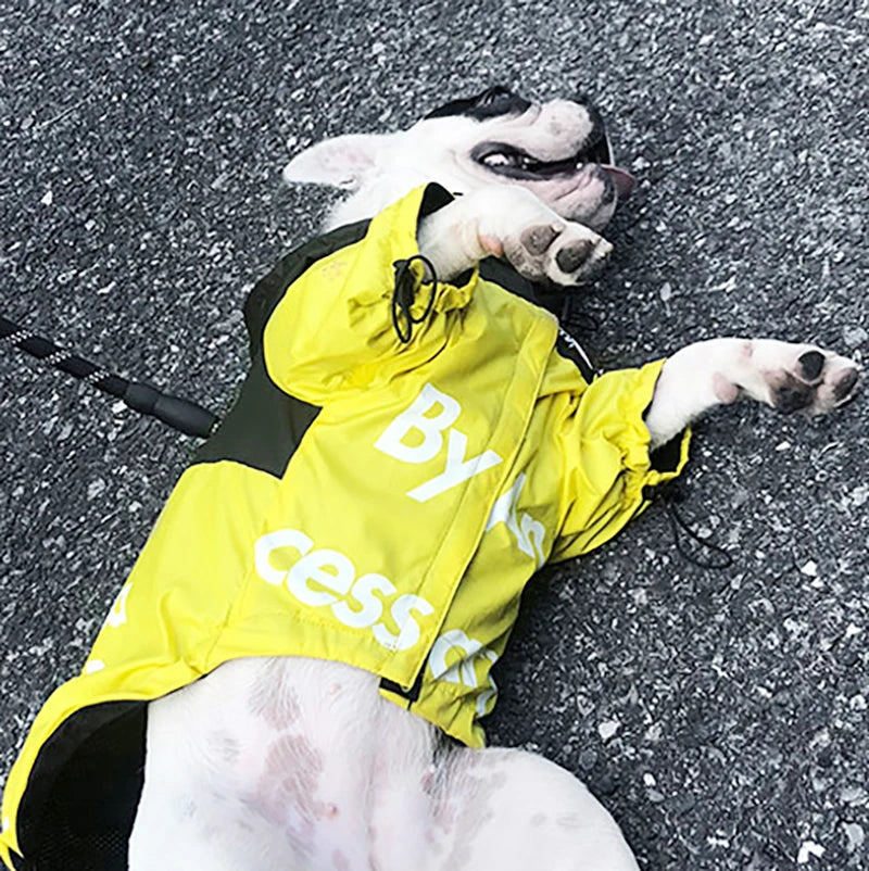 Chubasquero Impermeable para Perros | Chaqueta Exterior Reflectoras con Capucha