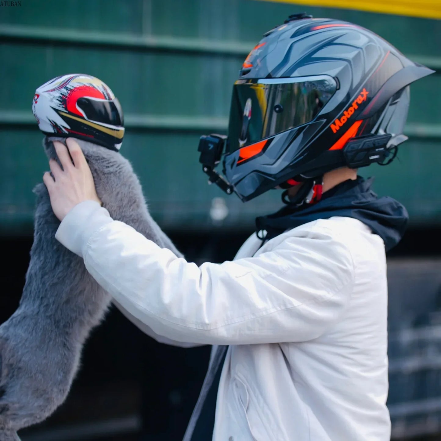Pet Helmets for Dogs & Cats | Safe Outdoor Headgear Accessories