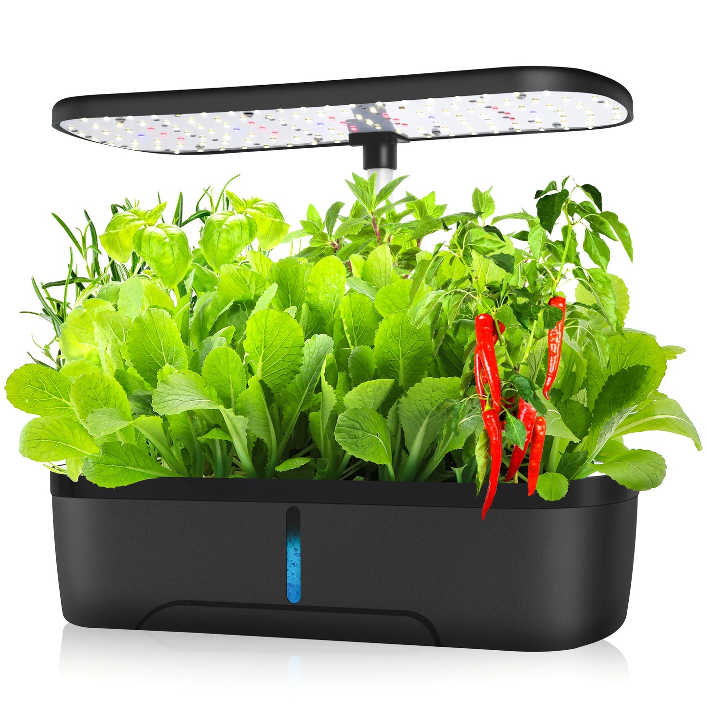 Smart Hydroponic Indoor Garden Kit | Grow Fresh Herbs & Veggies