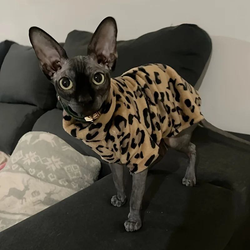Ropa Abrigadora y a la Moda para Gatos Sphynx | Atuendos Cálidos de Invierno