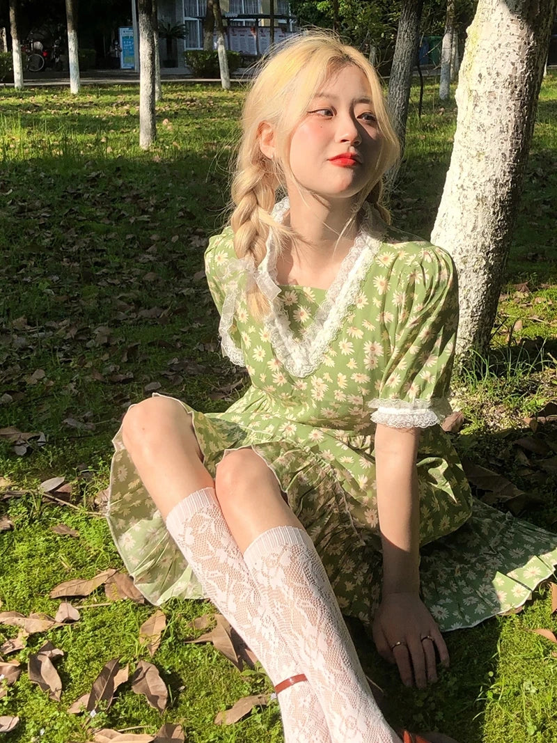 Charming Lace Medium Tube Socks for Women | Cute & Elegant Style