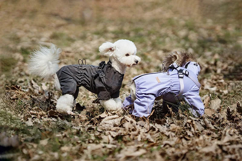 Adjustable Reflective Dog Raincoat with Harness for Small Dogs