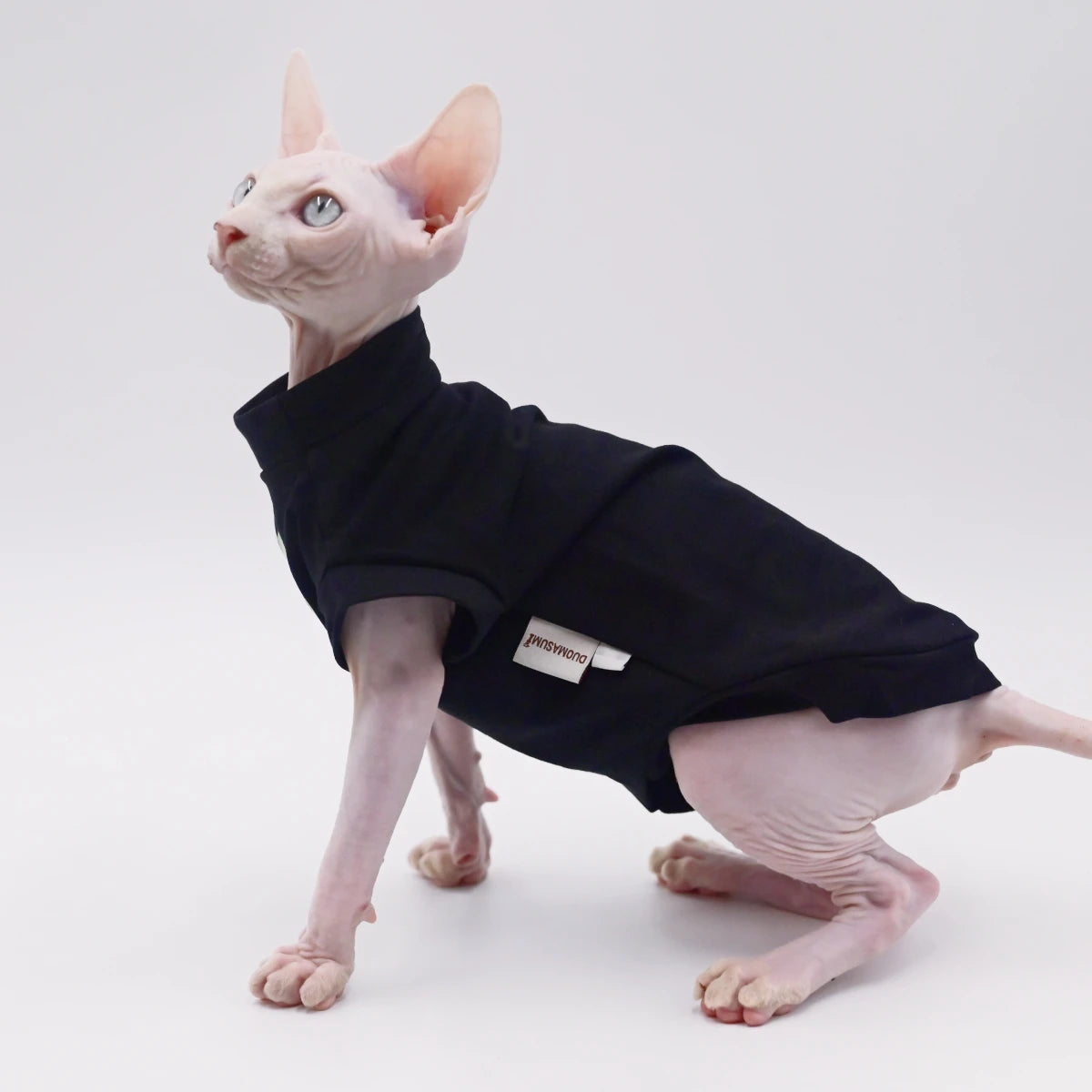 Cooling Summer Vest for Hairless Cats | Ultra-Soft Cotton Comfort