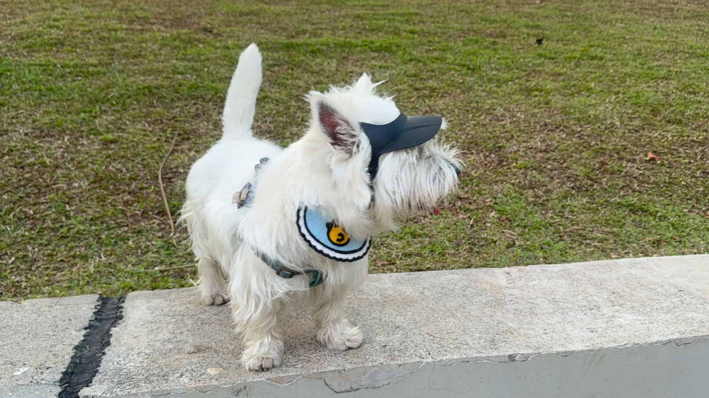 Stylish Dog Motorcycle Sun Hat | Adjustable Doggy Visor