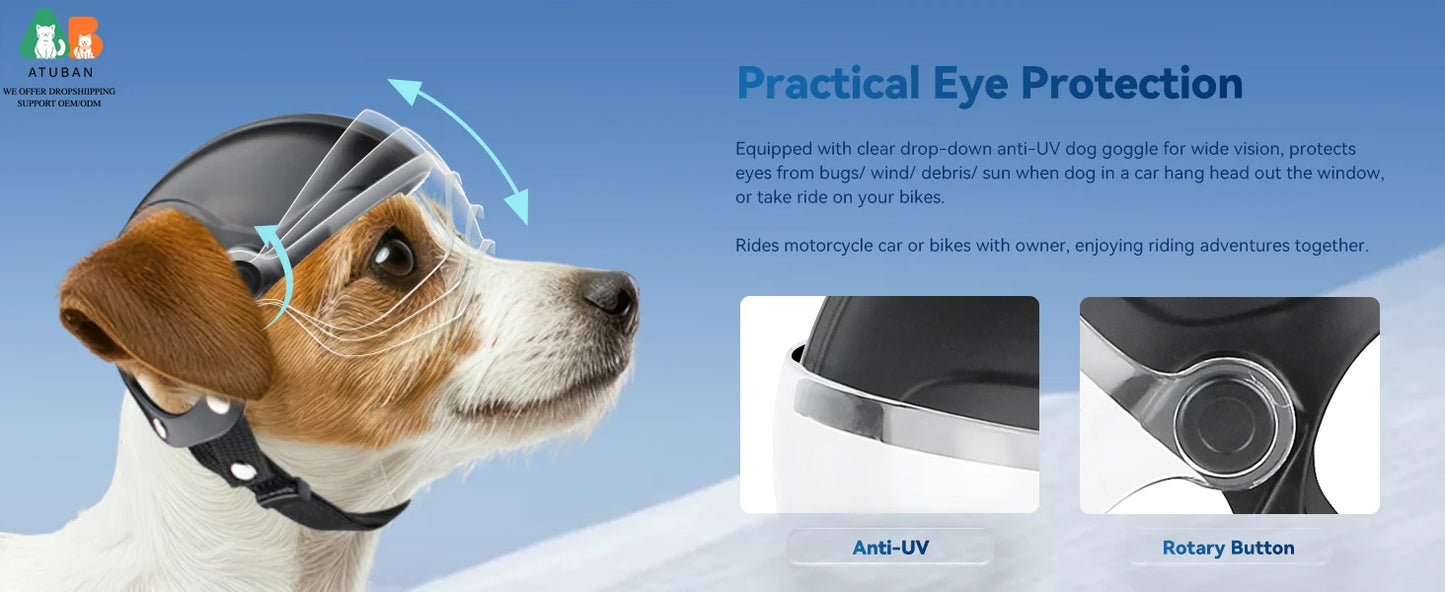 Dog Motorcycle Helmet for Small Breeds | Stylish & Protective