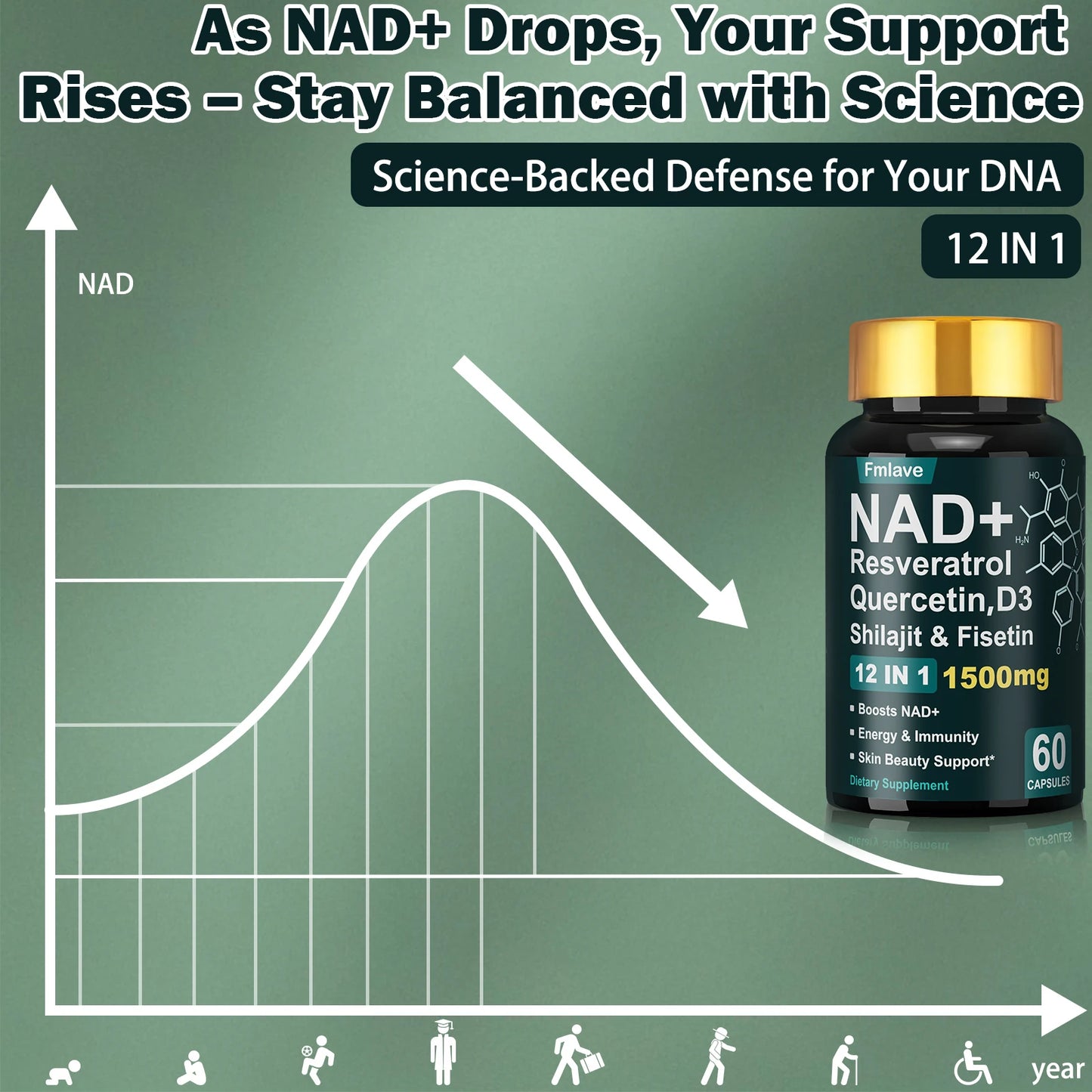 Fmlave NAD+ Resveratrol, Shilajit & Fisetin, Quercetin, D3,  – 12-in-1  Enhance Cellular Vitality and  Energy, Immunity & Skin Beauty  60 Capsules