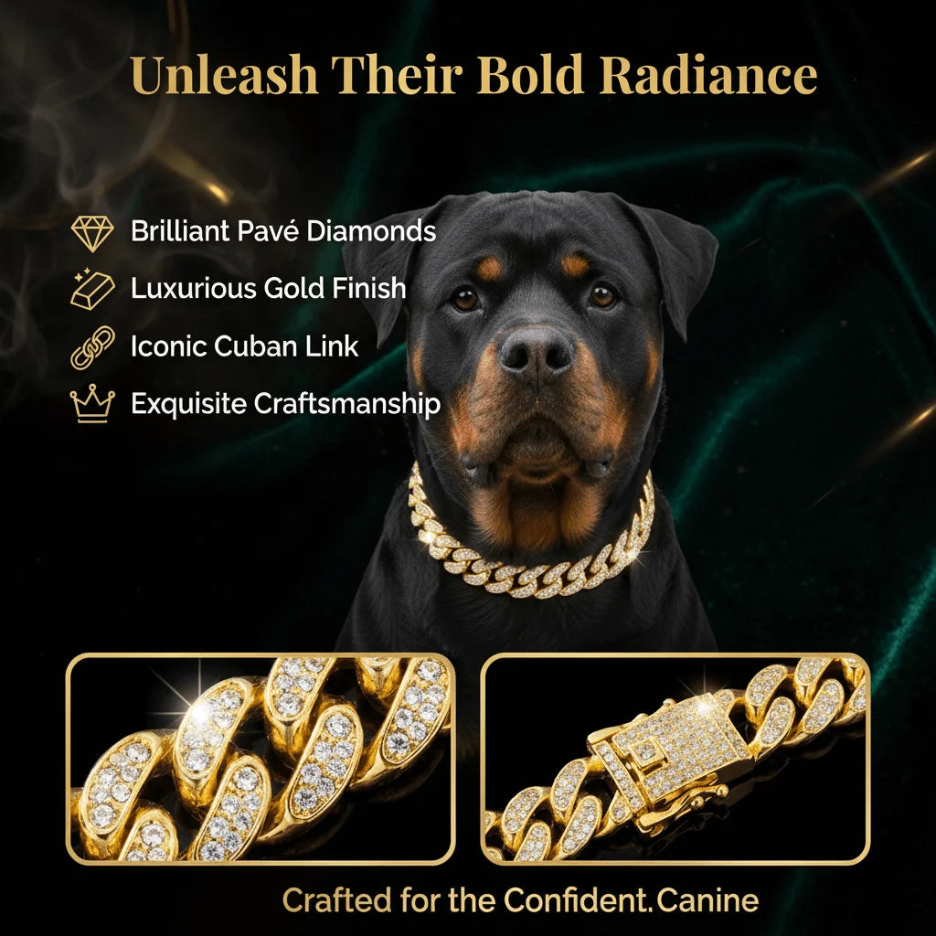 Luxury Hip Hop Dog Collar | Gold Tone Stainless Steel Pet Jewelry