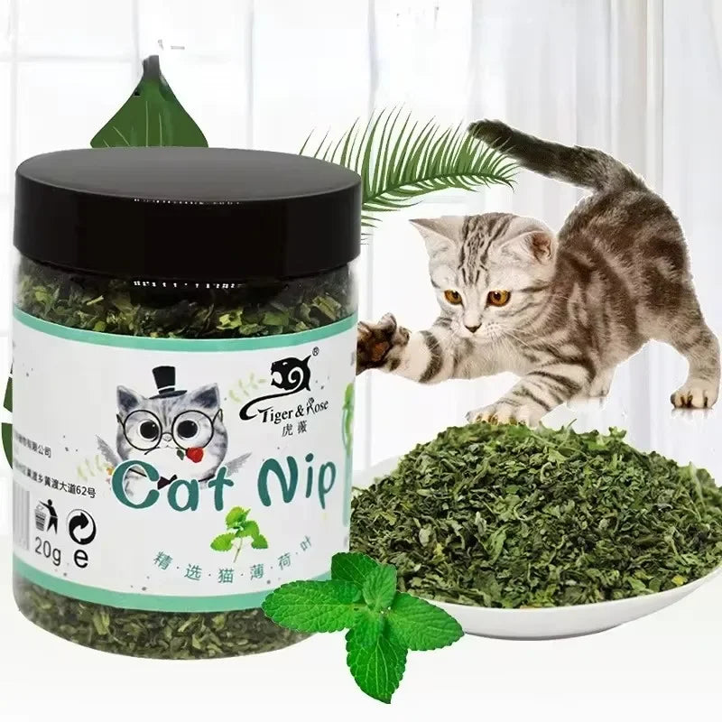 Organic Natural Catnip Cattle Grass Mint Taste Cat Toy