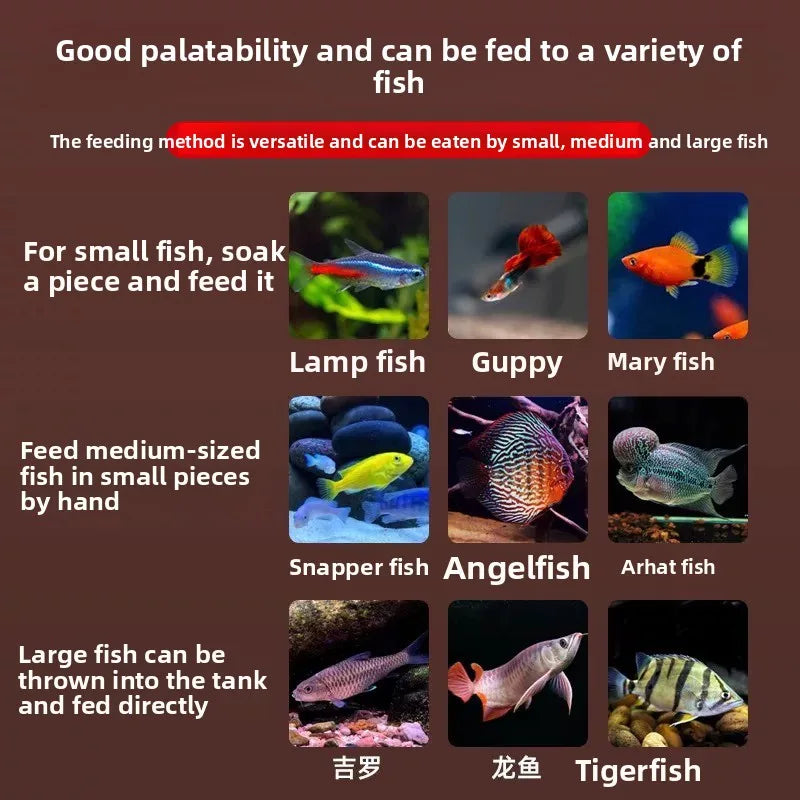 Freeze-Dried Brine Shrimp Blocks for Fish | Nutrient-Rich Treats