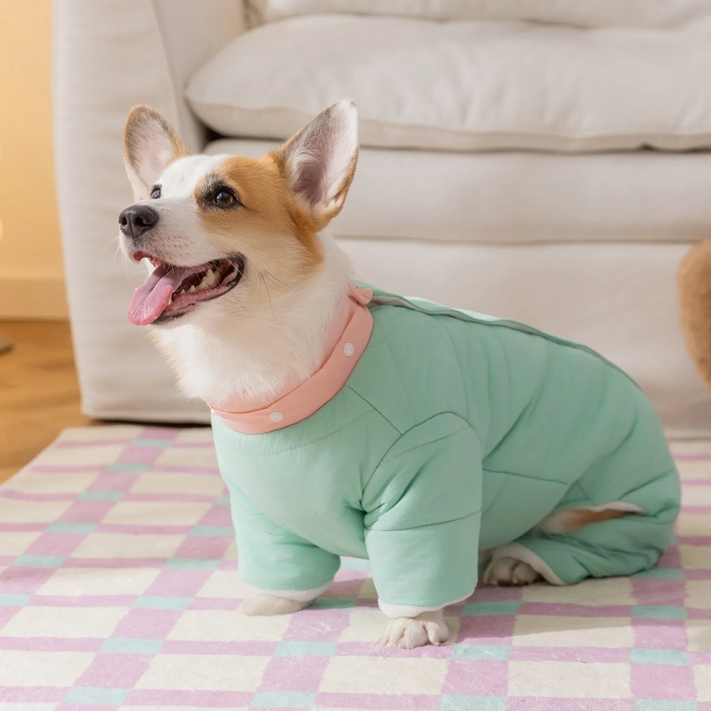 Thickened Pet Down Jacket for Medium Dogs | Warm Winter Apparel