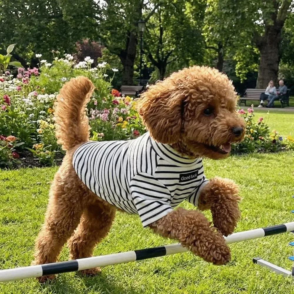Thermal Dog Sweater | Soft and Warm Striped Pet Clothing