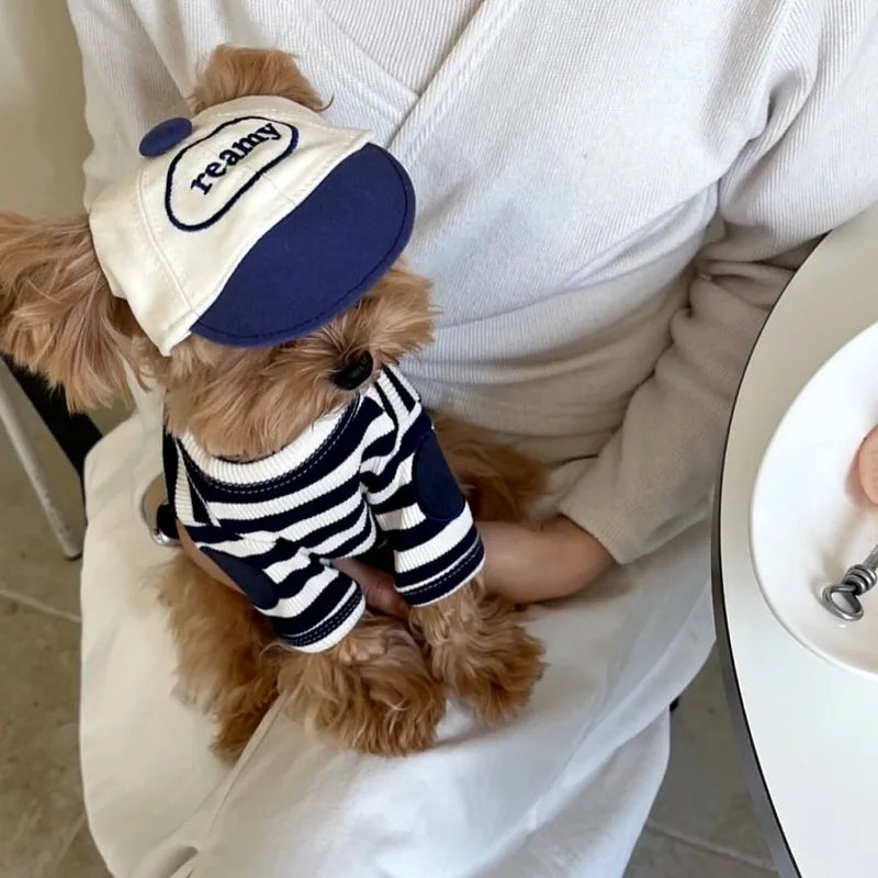 Summer Striped Dog T-Shirt | Cute & Soft Pullover for Small Dogs