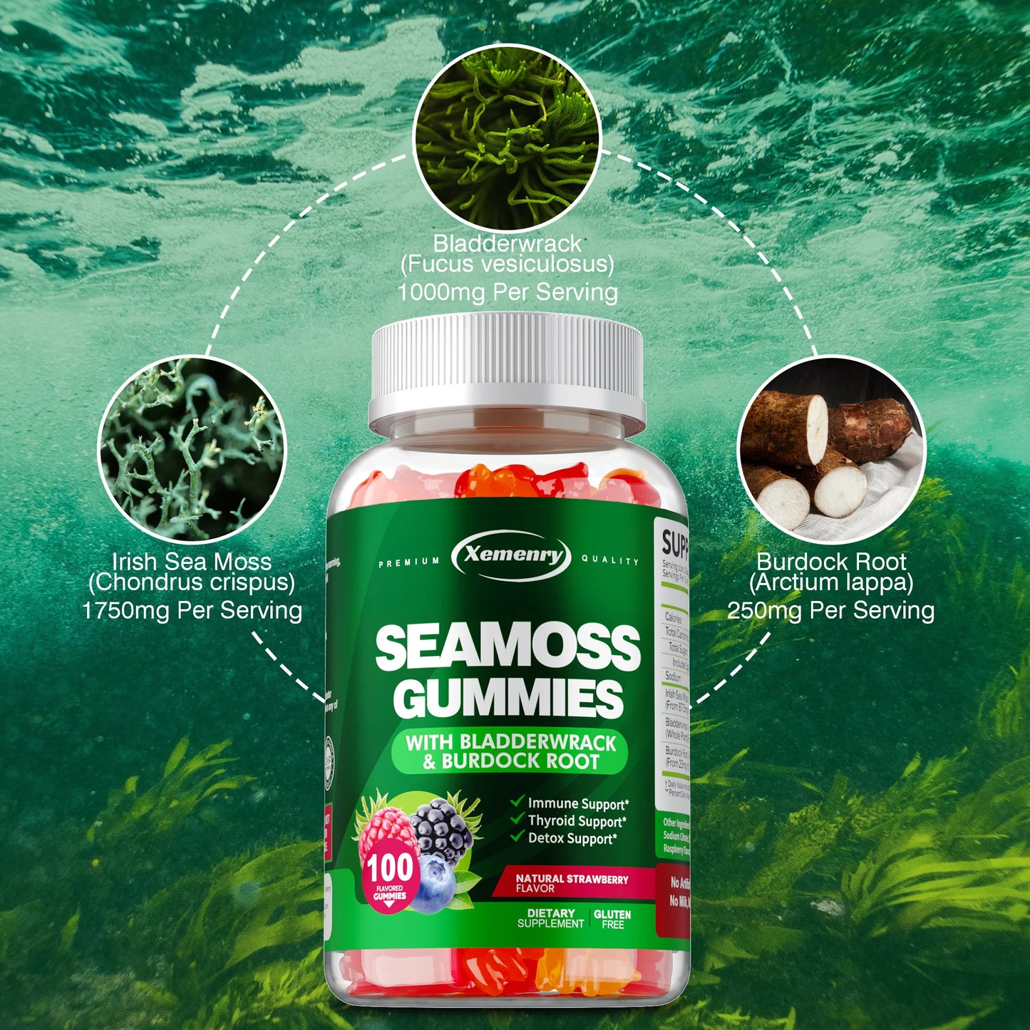 Sea Moss Gummies with Burdock Root & Bladderwrack | 100 Count