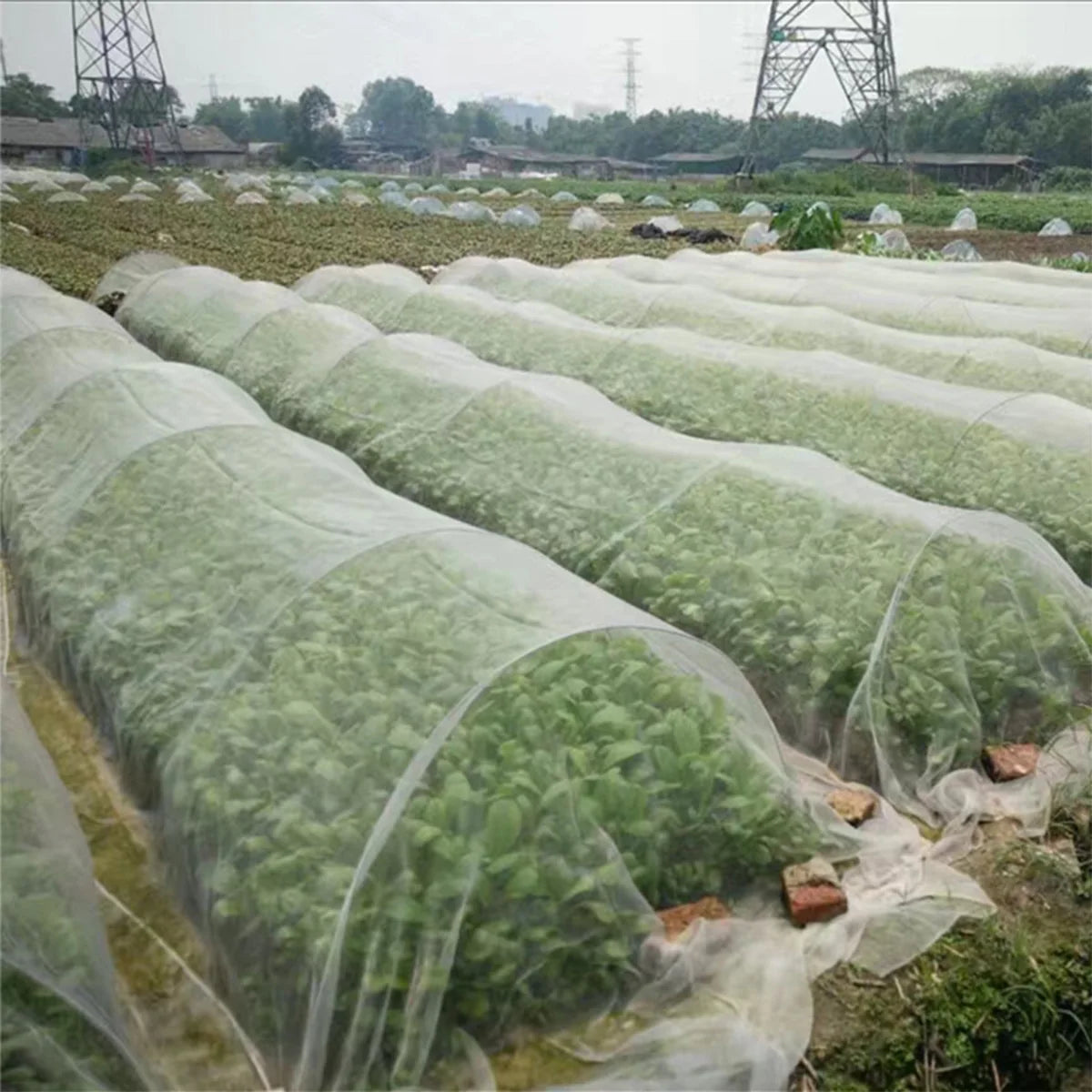 Garden Insect Protection Net | Vegetable & Fruit Care Cover
