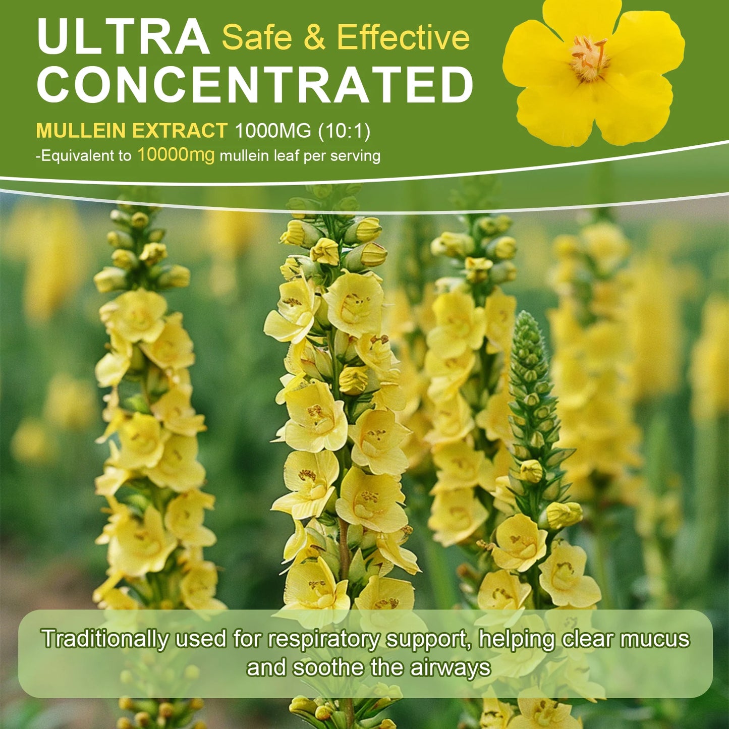 Vegetarian Mullein Drops for Lung Health & Detoxification