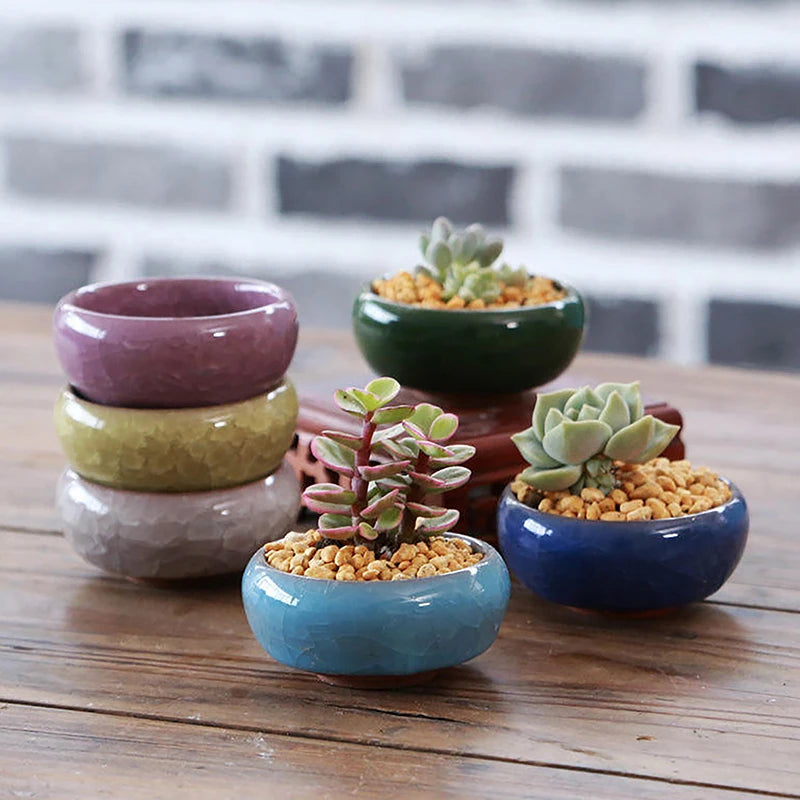 Cute Ice-Crack Glaze Flower Ceramic Succulent Planter