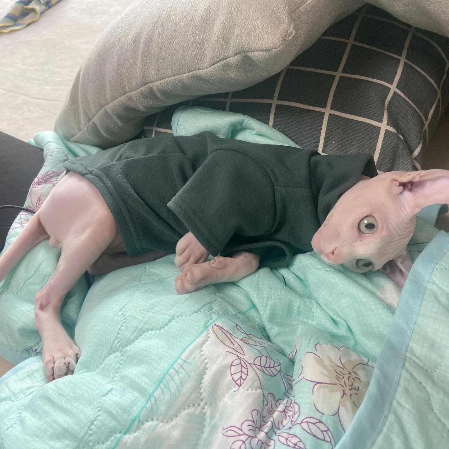 Ropa de Algodón Suave para Gatos Sin Pelo | Atuendos Cómodos y con Estilo