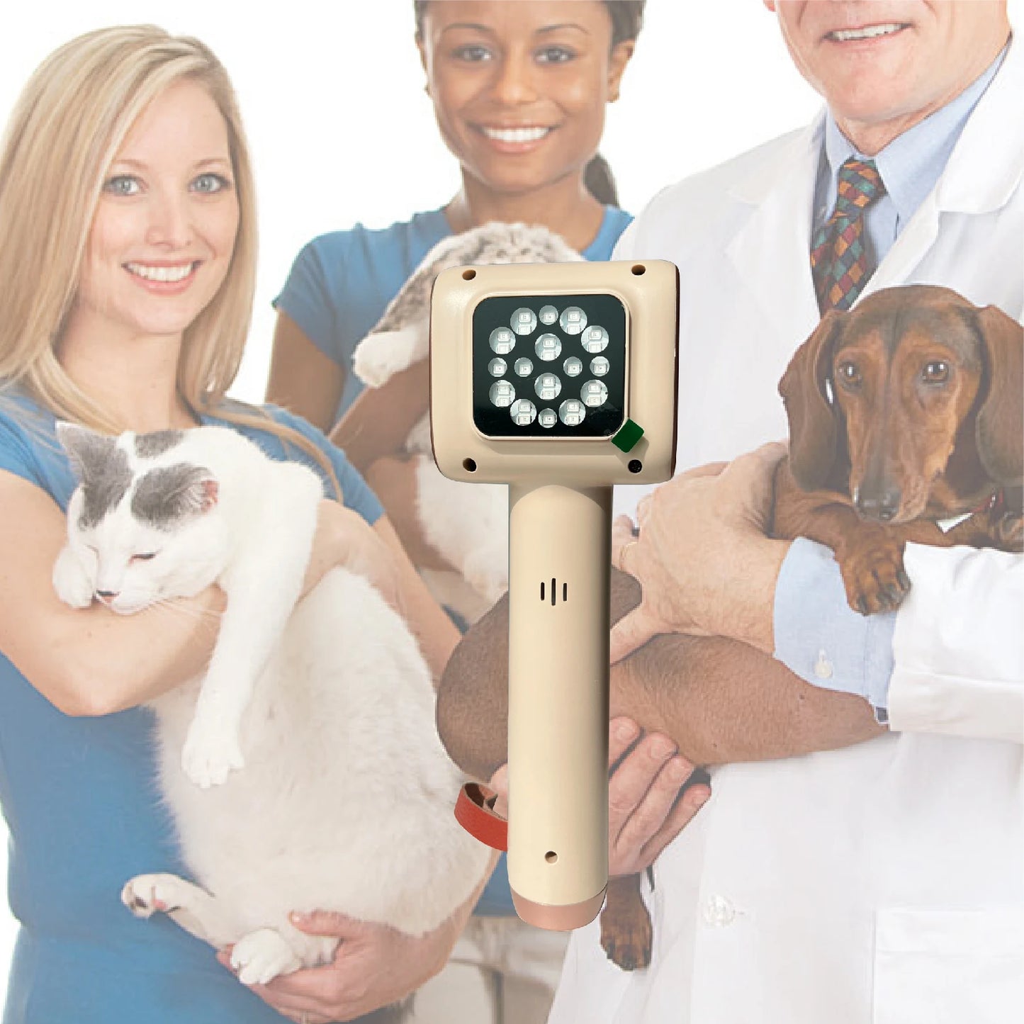 Veterinary LED Laser Therapy Device for Pet Relief