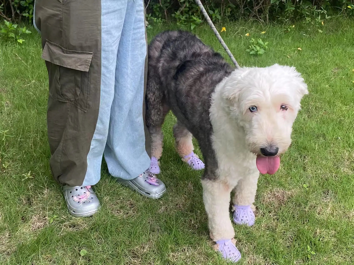 Breathable Non-Slip Dog Shoes | Summer Outdoor Pet Footwear