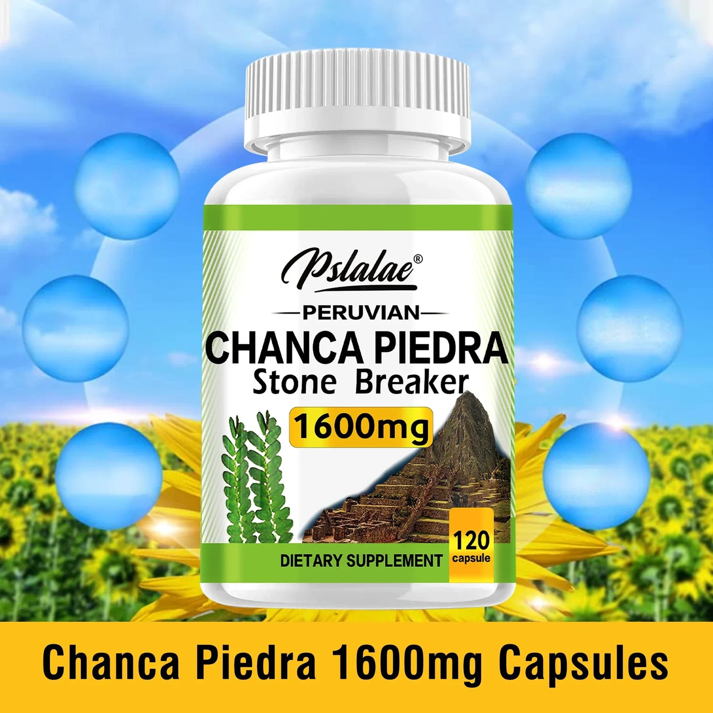 Chanca Piedra 1600mg Capsules | Supports Kidney Health & Detox