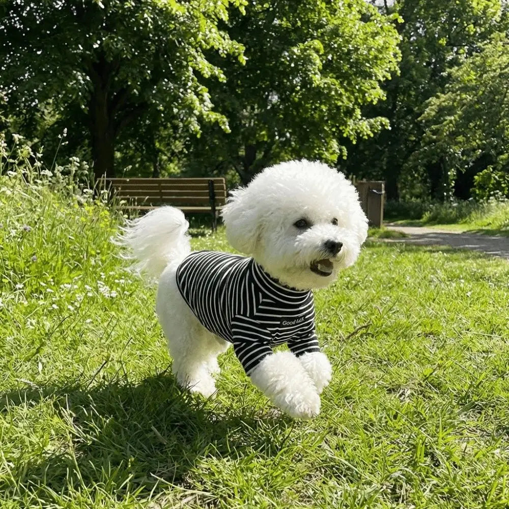 Thermal Dog Sweater | Soft and Warm Striped Pet Clothing