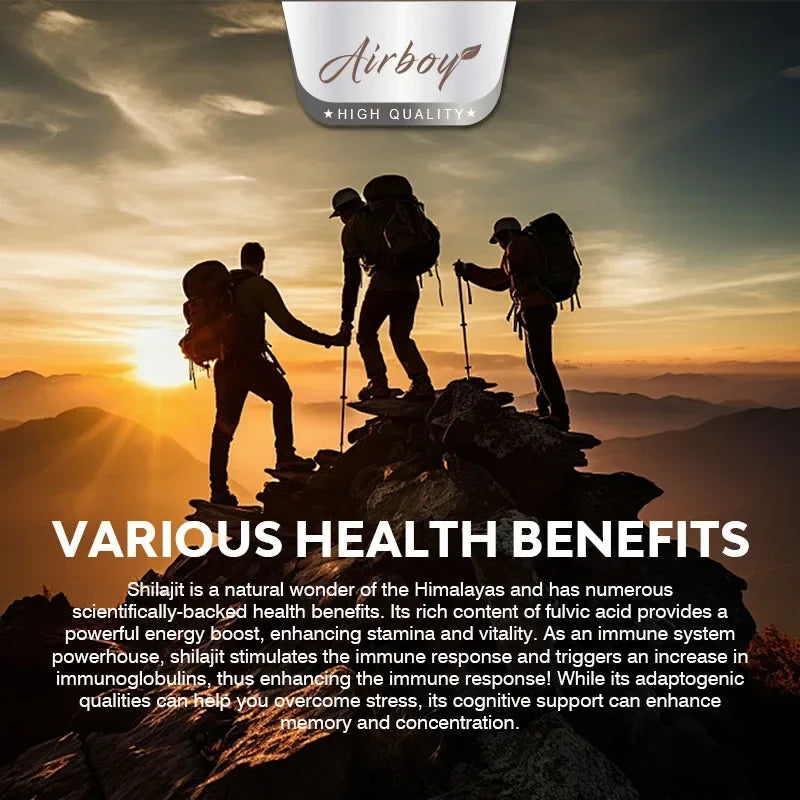 Energy & Vitality Support - Shilajit & Ginseng Supplements