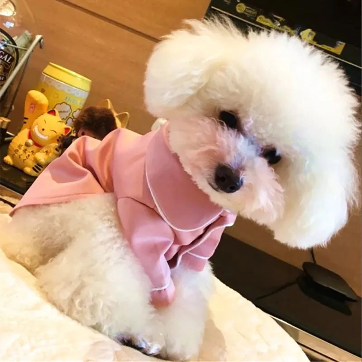 Luxurious Summer Pajama for Small Dogs | Comfortable Dog Clothes