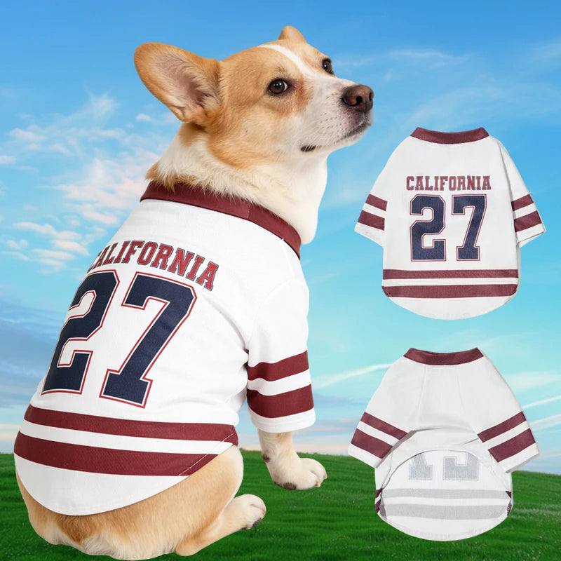 Breathable Mesh Dog Jersey | Sporty Summer Puppy Shirt