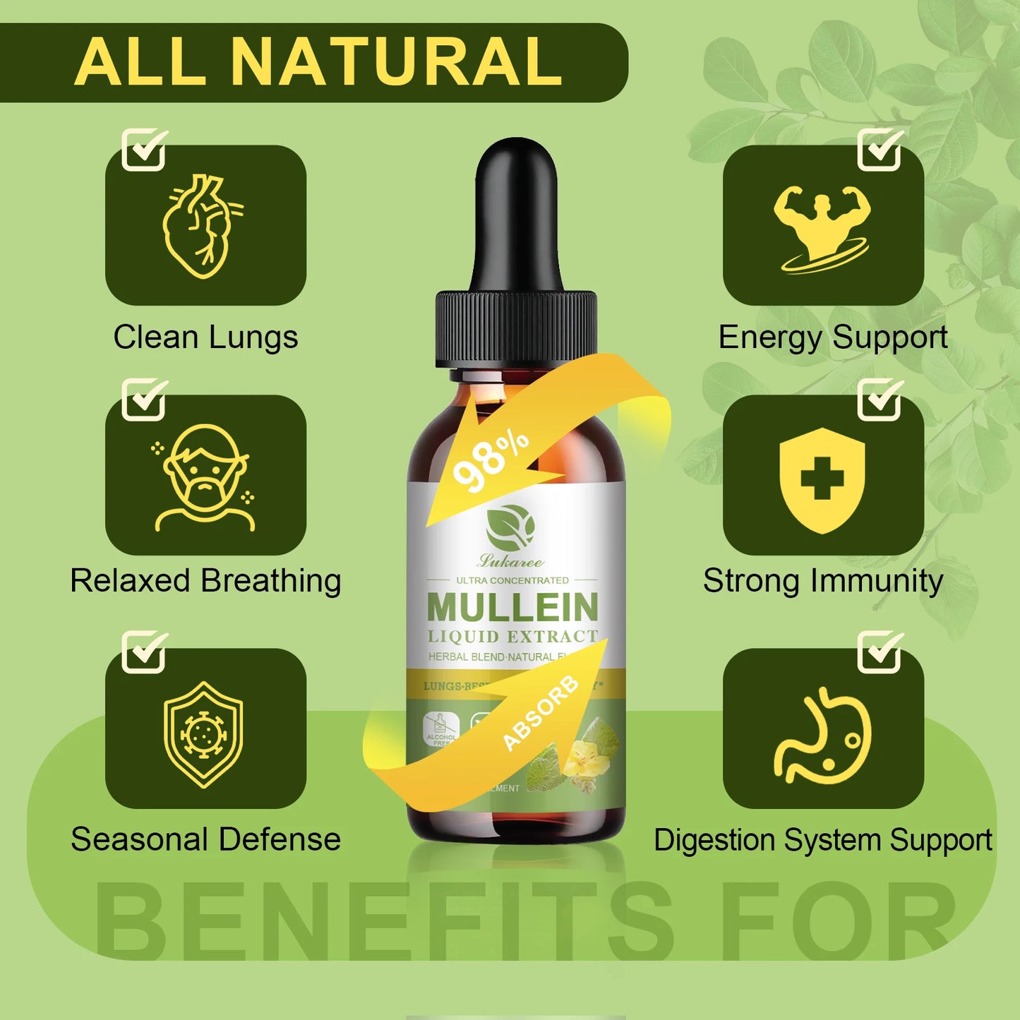 Vegetarian Mullein Drops for Lung Health & Detoxification