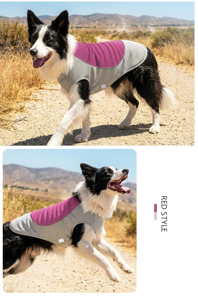 Pet Summer Cooling Vest | Breathable Heat Relief for Dogs