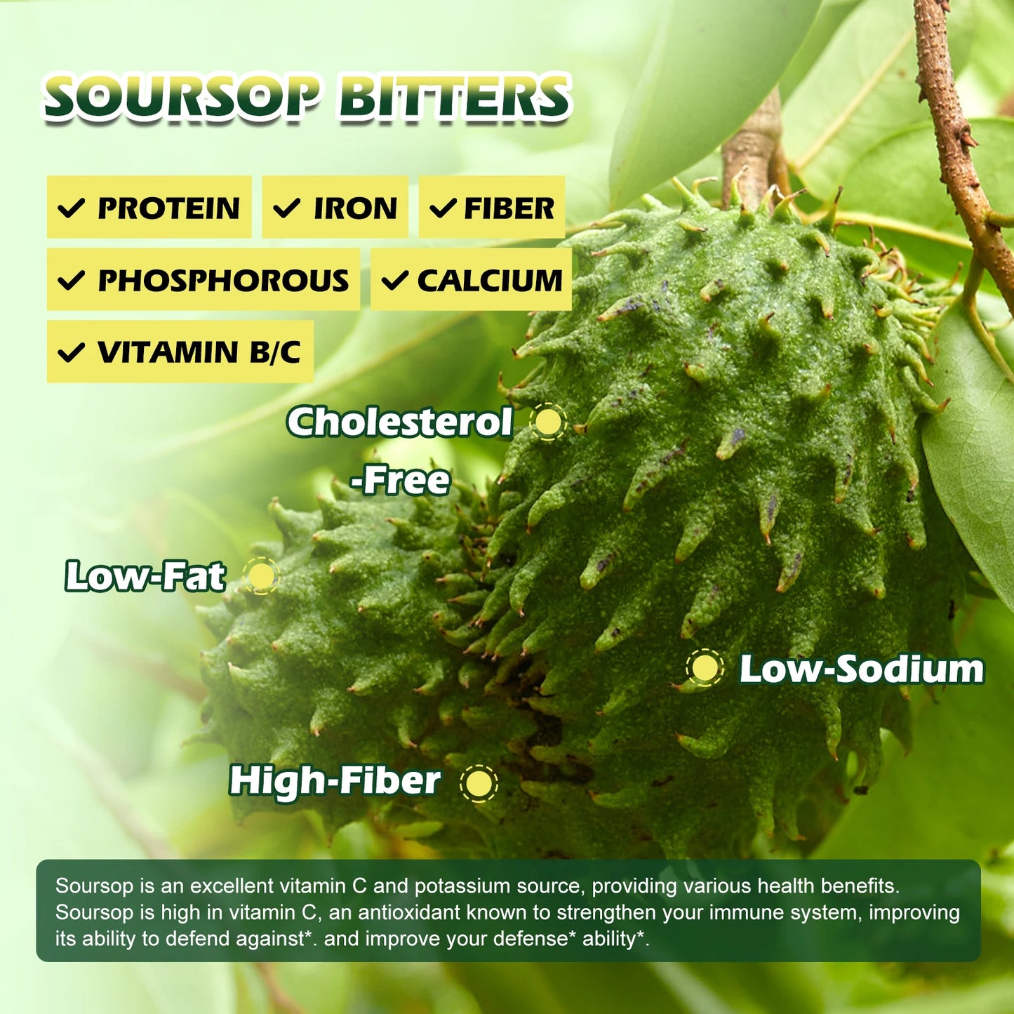 Sea Moss & Soursop Graviola Extract Drops | Support Immunity & Digestion