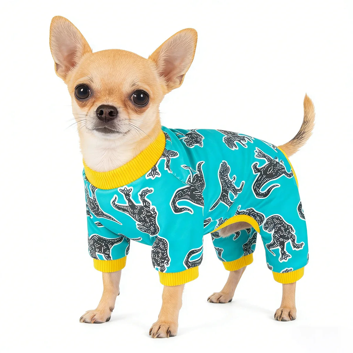 Cute Dog Pajamas for Small Pets | Summer Onesies for Puppies