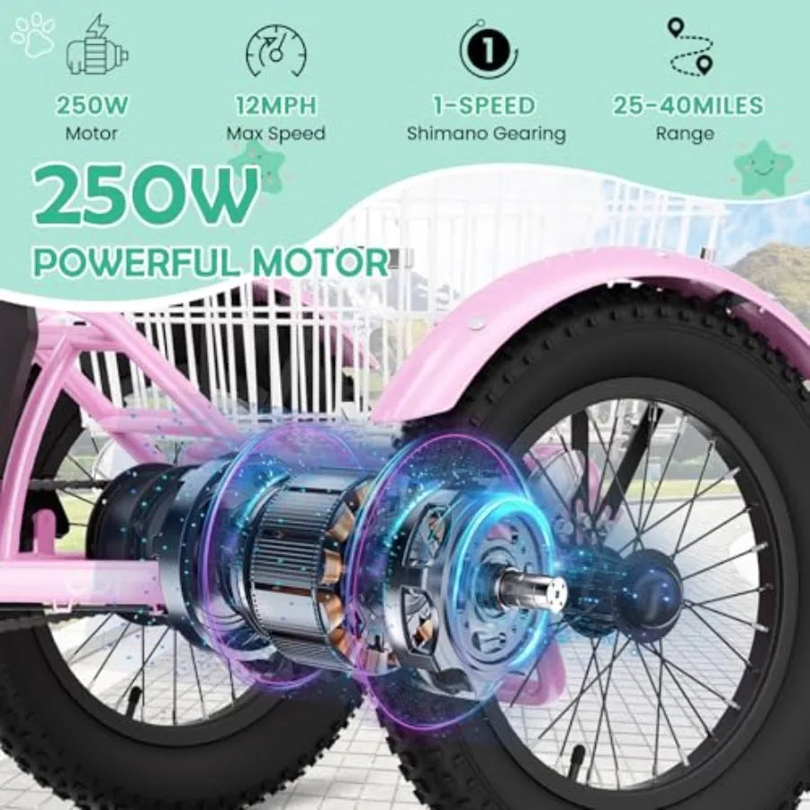 Electric Tricycle for Youth | 250W 3-Wheel Electric Bike