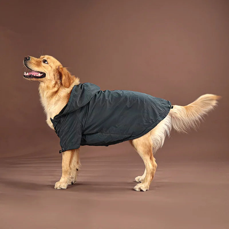 Reflective Color Changing Windbreakers for Big Dogs | Stylish Outerwear