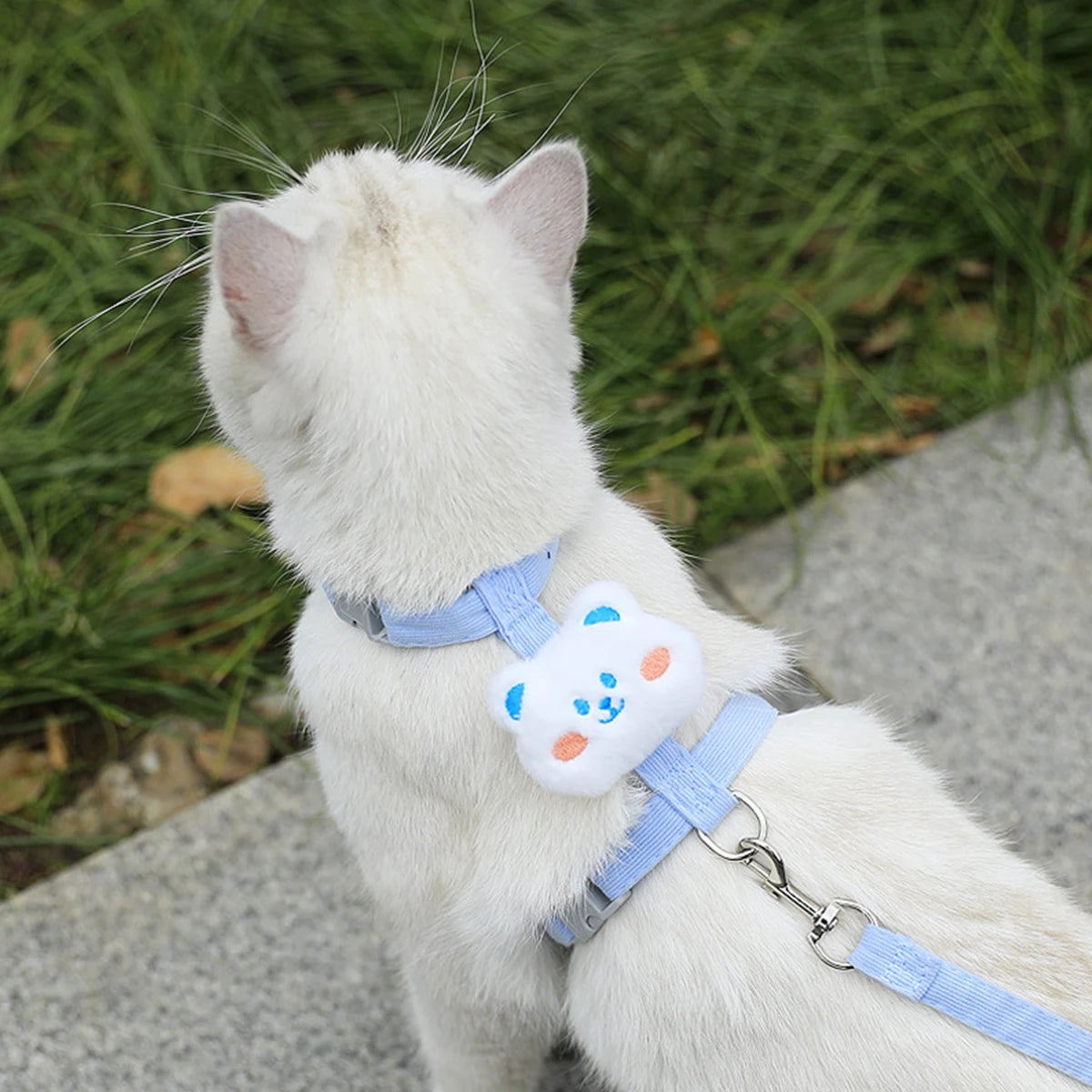 Adjustable Cat Harness and Leash Set | Perfect for Small Dogs & Cats