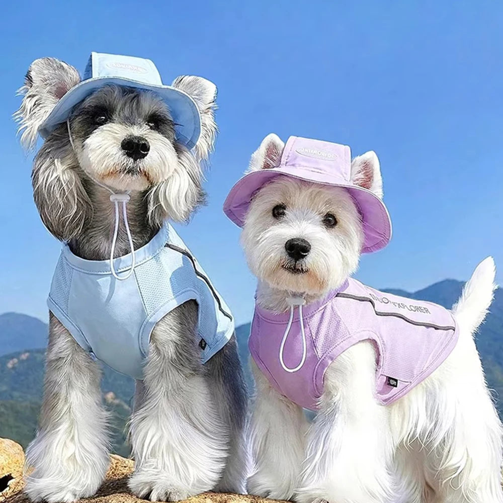 Lightweight Summer Cooling Vest for Dogs and Cats | Breathable Mesh Shirt