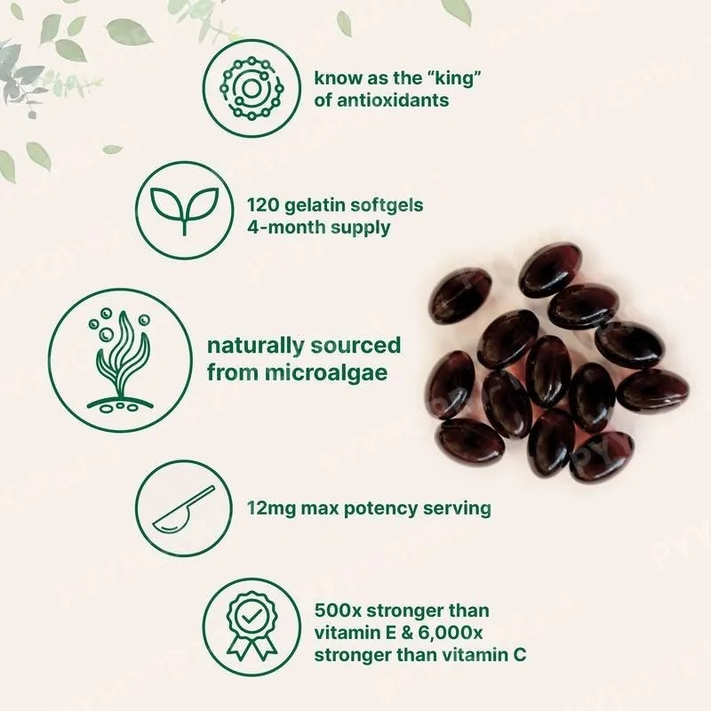 Astaxanthin Supplement Softgels | Powerful Antioxidant Support