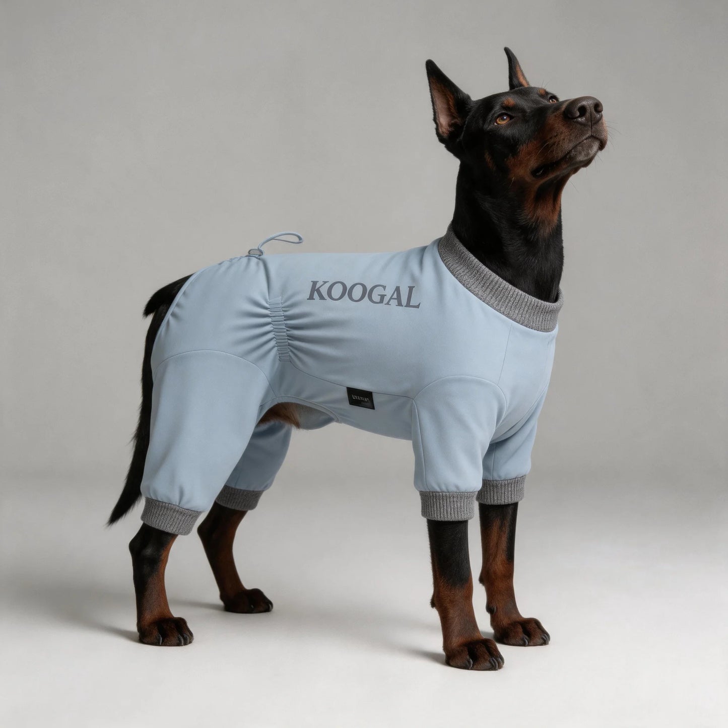 Lightweight Summer Dog Pyjamas | Comfortable Dog Onesie for All Sizes