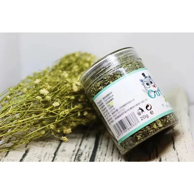 Organic Natural Catnip Cattle Grass Mint Taste Cat Toy