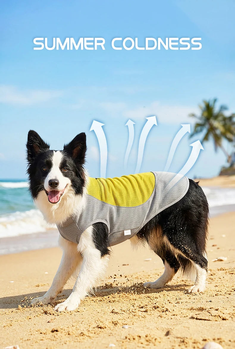 Pet Summer Cooling Vest | Breathable Heat Relief for Dogs
