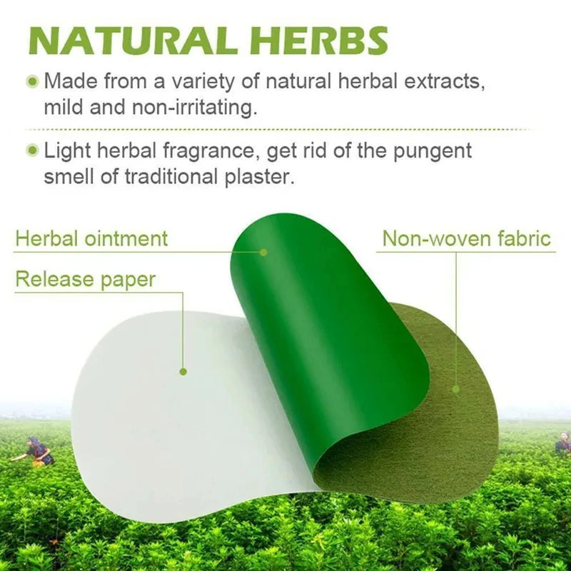 Natural Wormwood Detox Foot Patches | Slimming Foot Detox Pads