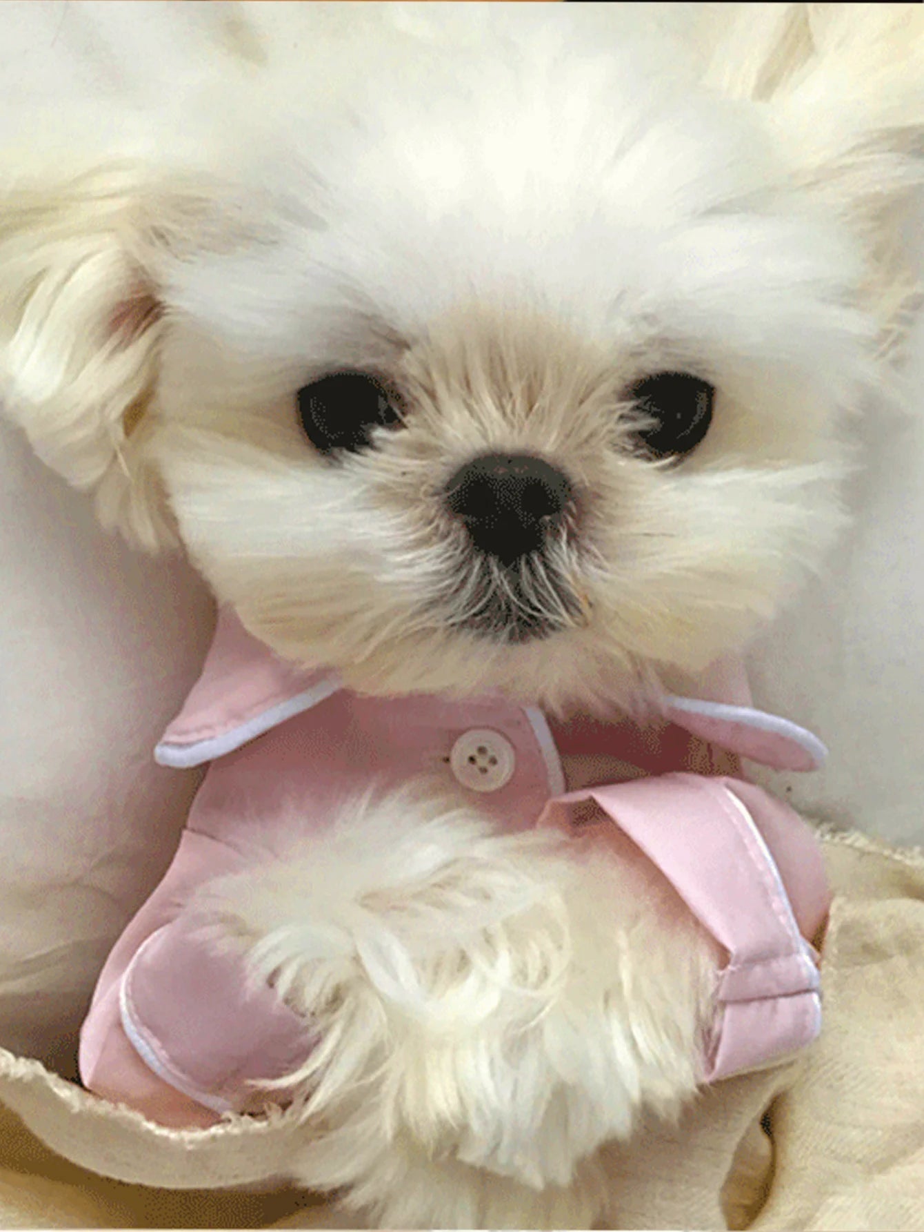 Luxurious Summer Pajama for Small Dogs | Comfortable Dog Clothes