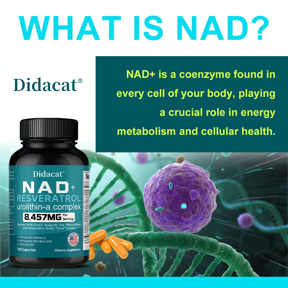 NAD+ Resveratrol Capsules | Antioxidant & Anti-Aging Support