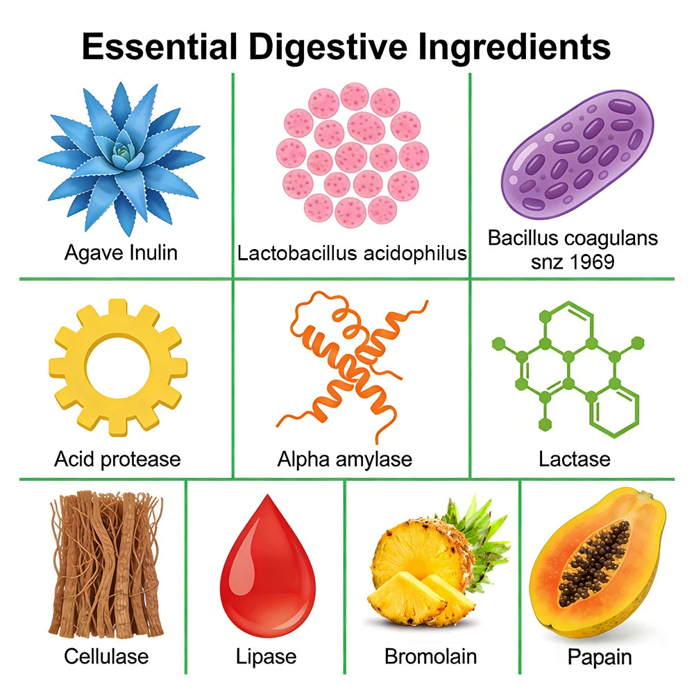 Probiotic Prebiotics & Digestive Enzymes Capsules for Gut Health